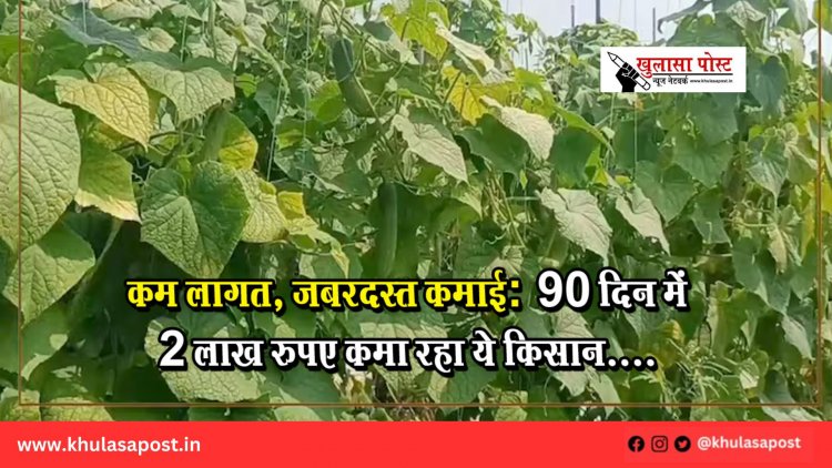 कम लागत, जबरदस्त कमाई: 90 दिन में 2 लाख रुपए कमा रहा ये किसान....