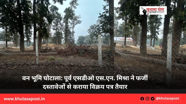 वन भूमि घोटाला: पूर्व एसडीओ एस.एन. मिश्रा ने फर्जी दस्तावेजों से कराया विक्रय पत्र तैयार